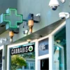 Cannabis Shop sign LED hung on a dispensary store front with a neon green cross above the window.