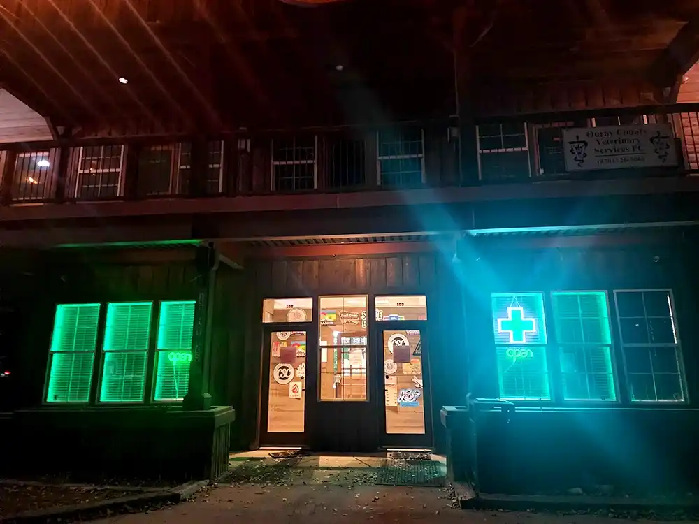 Bright Lit Up LED window sign at night