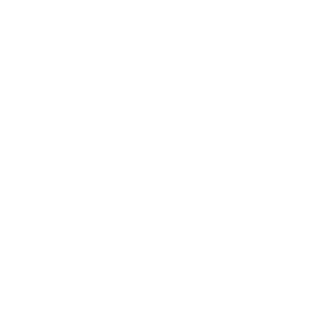 Wana-Gummies-Logo-White-300x300-01 A plain white background with no visible elements, ideal for showcasing Custom Signage Solutions like LED signs or LEDON signs.