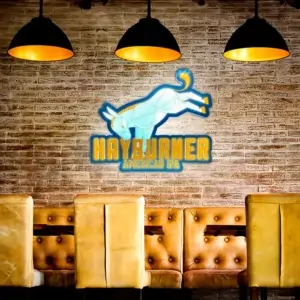 Big-Ditch-Hayburner-American-IPA-LED-Restaurant-Mockup-01-300x300 (1)